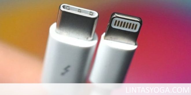 LintasYogya | USB Type-C Baru - Kabel Milik Masa Depan