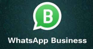 LintasYogya | Hal yang Perlu Diketahui Tentang WhatsApp yang Memverifikasi Akun Bisnis