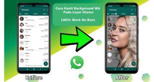 LintasYogya | Cara Mengunduh Aplikasi Whatsapp Untuk Mengubah Tema Dan Wallpaper Foto