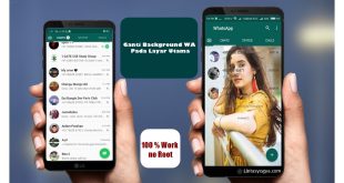 LintasYogya | Ini Adalah Aplikasi Di Whatsapp Untuk Mengubah Tema Foto Dan Wallpaper