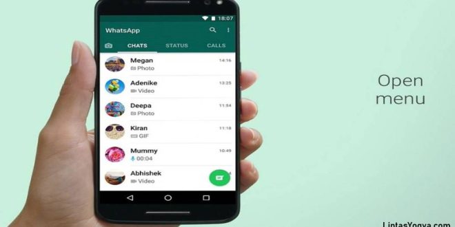 LintasYogya | Cara Whatsapp Centang Satu Tapi Online Tanpa Aplikasi