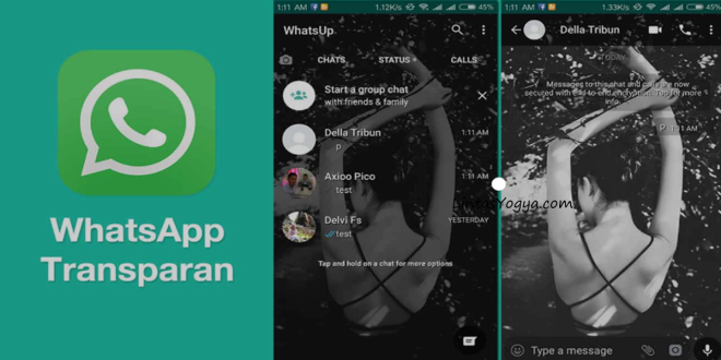 LintasYogya | Cara Download Aplikasi Wa Transparan Android
