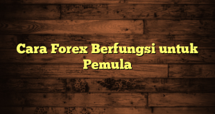 LintasYogya | Cara Forex Berfungsi untuk Pemula