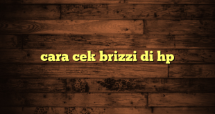 LintasYogya | cara cek brizzi di hp