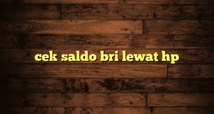 LintasYogya | cek saldo bri lewat hp